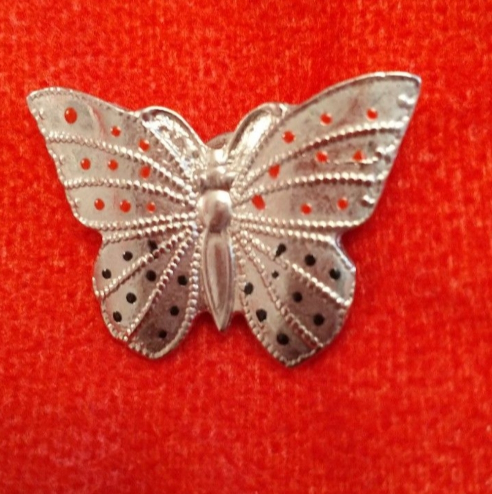 Butterfly 🦋 brooch pin